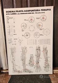 AGOPUNTURA POSTER QUADRO SCHEMA TERAPIA STUDIO MED