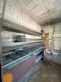 struttura completa con abbeveraggio