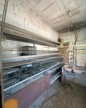 struttura completa con abbeveraggio