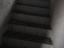 Immagine 10