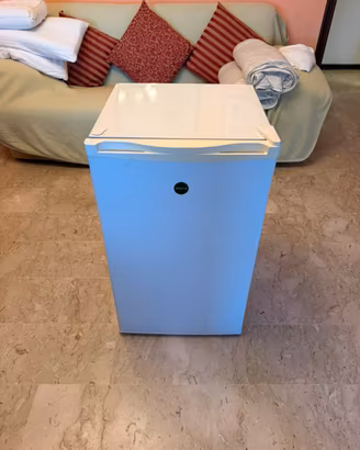 Frigorifero Mini con congelatore interno 100lt C