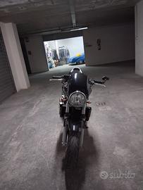 Honda hornet