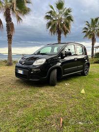 FIAT Panda 1.0 Mild-Hybrid versione City Life
