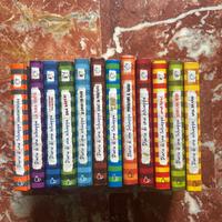 lotto libri “diario di una schiappa”