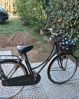 Bici Tipo Olanda Donna