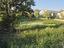Immagine 10