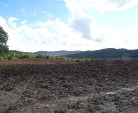 Azienda agricola di 110 ha Grosseto