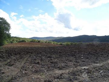 Azienda agricola di 110 ha Grosseto