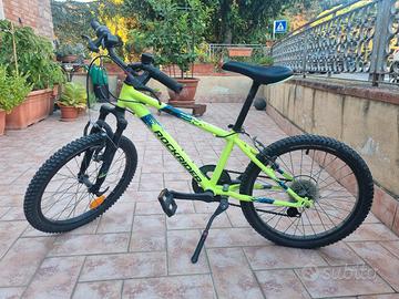 Bicicletta 