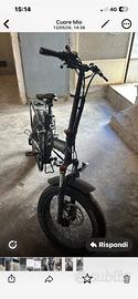 Fat bike Techbike