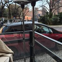 Funghi elettrici da esterno