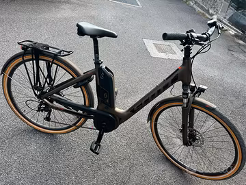 Bicicletta elettrica