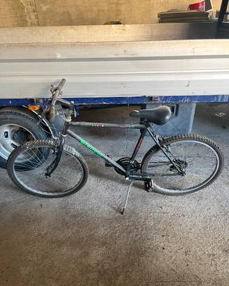 Mountain bike Bianchi da uomo
