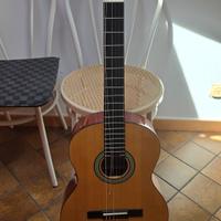 chitarra classica 6 corde Ibanez Salvador