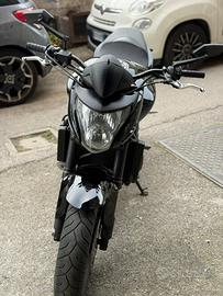 Honda hornet