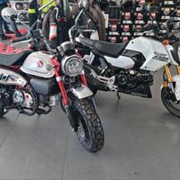 Honda Monkey 125 DA IMMATRICOLARE 2025