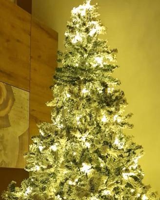 Albero di Natale