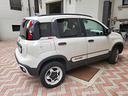 fiat-panda-limited-editio-4x40
