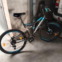 Mountain bike