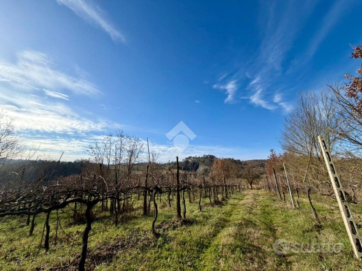 TER. AGRICOLO A CASPERIA - Vista 2