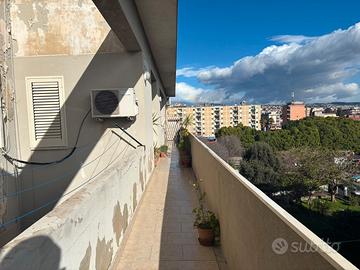 Due vani piazza risorgimento