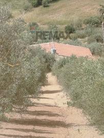 Villa o villino - Caltagirone