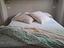 Immagine 2