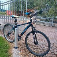 Mountain bike lombardo 