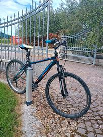Mountain bike lombardo 