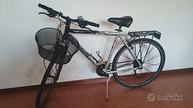 Bicicletta da Uomo