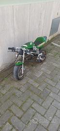 Mini moto
