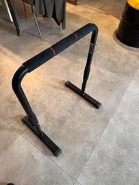 Parallele fitness