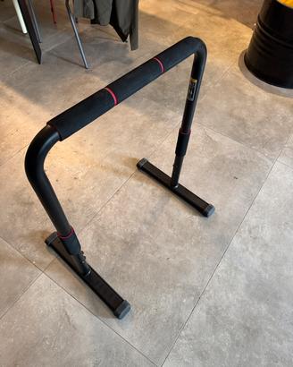 Parallele fitness