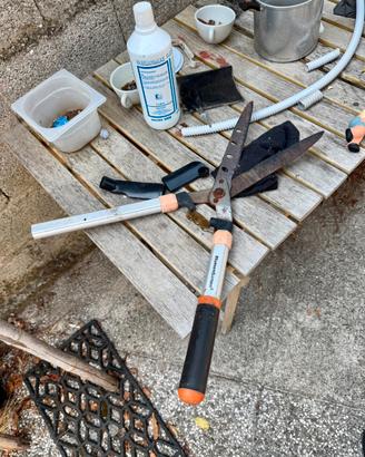 Forbice Tagliasiepi manuale BlumenGarten