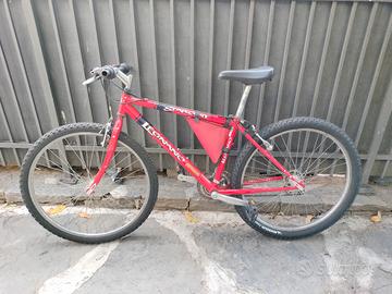 Regal o bicicletta 