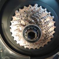 Magnetic Days Jarvis