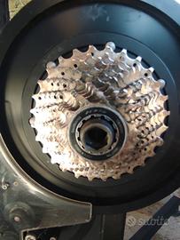 Magnetic Days Jarvis