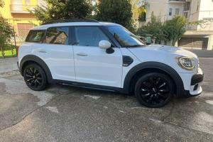 Mini Countryman 1.5 benzina