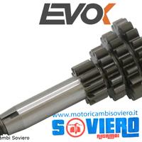  Ingranaggio quadruplo EVOK 4 corta Z10-14-18-21 V