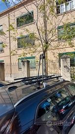 Porta biciclette da auto