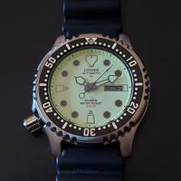 Citizen Promaster