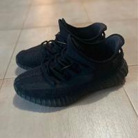 Yeezy boost 350 v2