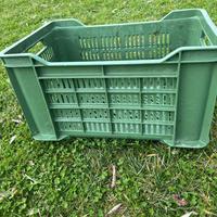 Cassette ortofruttain palstica dura