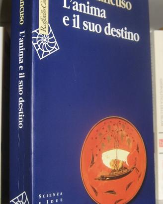 L'anima e il suo destino
