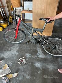Bicicletta