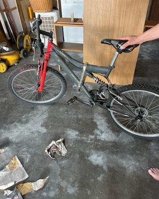 Bicicletta