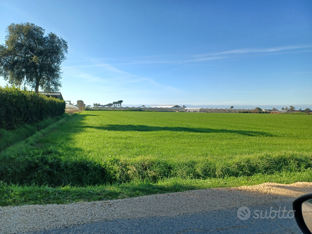 Terreno Agricolo 30000mq fronte strada