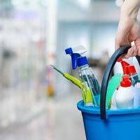 Collaboratrice domestica