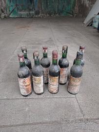 bottiglie di Barbera