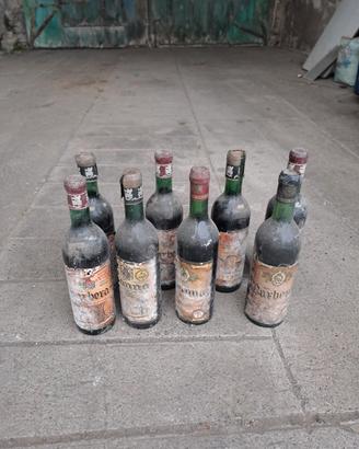 bottiglie di Barbera